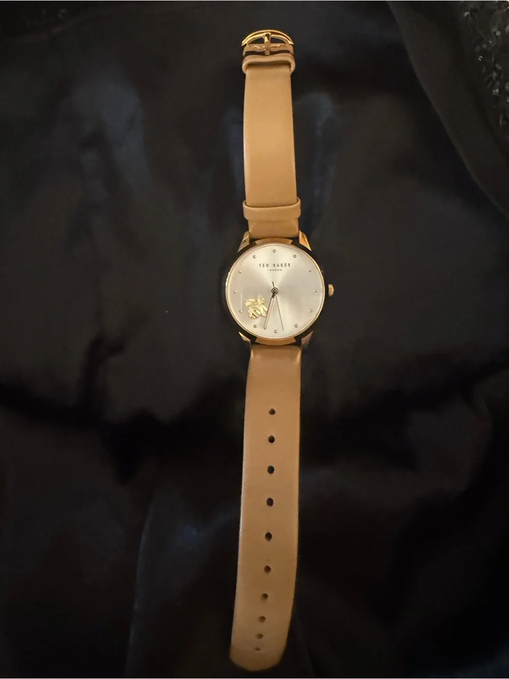 Ted Baker sleek ted